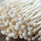 Illustration for article titled More Mushroom Than You Can Handle: You Simply Don’t Have The Endurance To Make It Through This List Of 8 Mushrooms